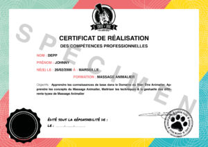 certificat de formation en massage animalier