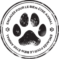 engagement protection animale Snob Dog Academy