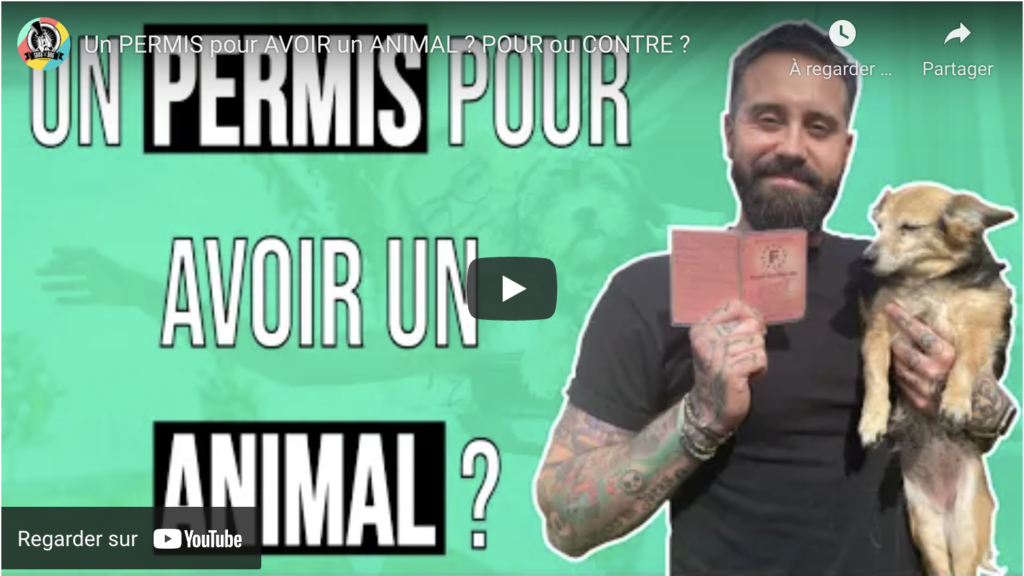 permis animal