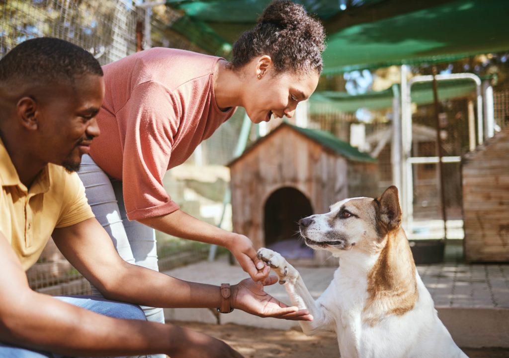 quel est le salaire d'un naturopathe pour animaux