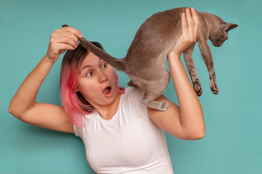 une femme qui regarde si son chat a des vers