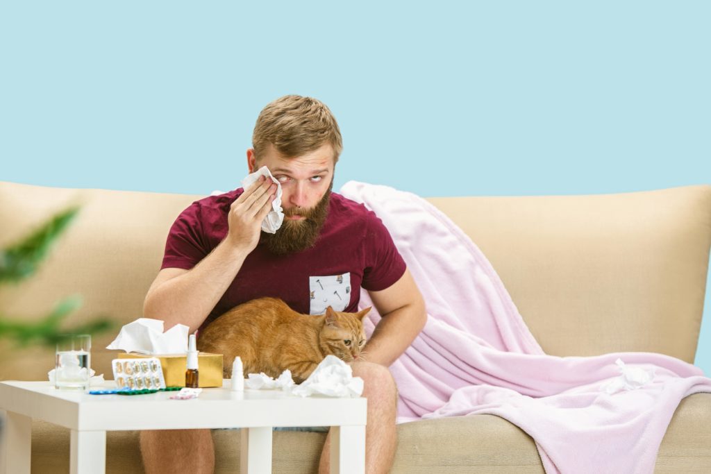 un homme allergique aux chats qui éternue et qui se gratte